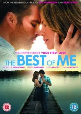 The Best of Me (2014) Wall Poster picture 708049