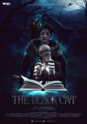 The Black Cat (2017) Men's Colored Hoodie - idPoster.com