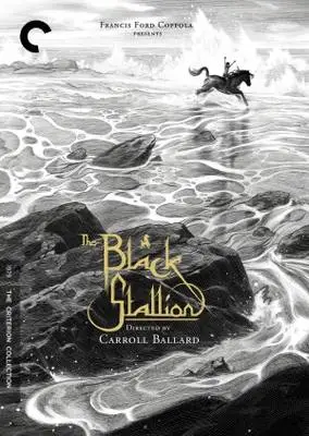 The Black Stallion (1979) Fridge Magnet picture 369578