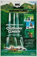 The Castaway Cowboy (1974) posters and prints