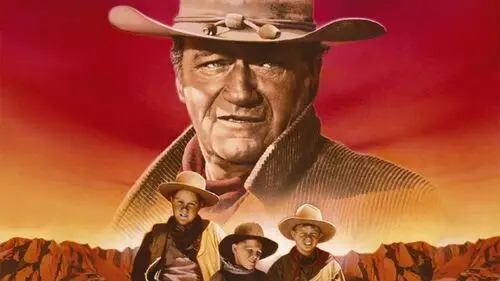 The Cowboys (1972) Men's Colored Hoodie - idPoster.com