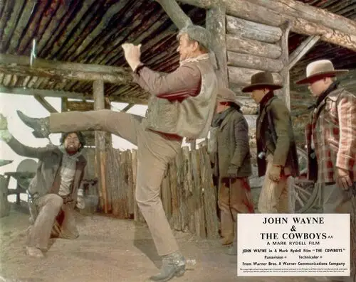 The Cowboys (1972) Wall Poster picture 825965