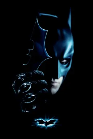 The Dark Knight (2008) Fridge Magnet picture 401625