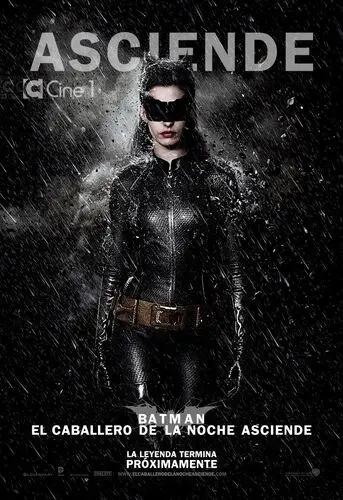 The Dark Knight Rises (2012) Wall Poster picture 153170