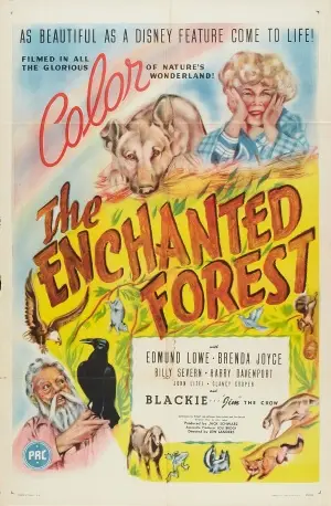 The Enchanted Forest (1945) White T-Shirt - idPoster.com