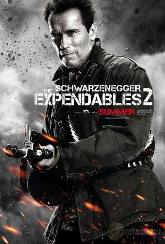 The Expendables 2 (2012) Jigsaw Puzzle picture 153264