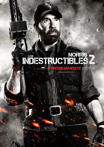 The Expendables 2 (2012) Jigsaw Puzzle picture 153284