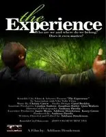 The Experience (2010) posters and prints