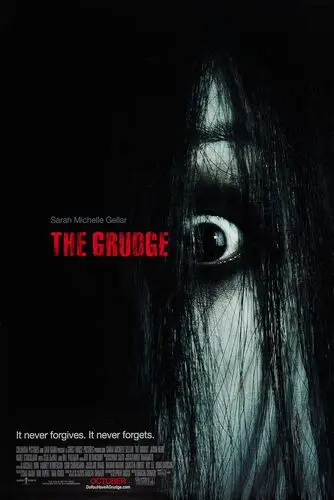 The Grudge (2004) Men's Colored Hoodie - idPoster.com