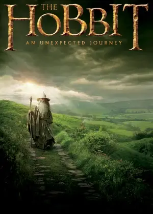 The Hobbit: An Unexpected Journey (2012) Men's Colored Hoodie - idPoster.com