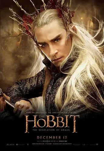 The Hobbit The Desolation of Smaug (2013) Protected Face mask - idPoster.com