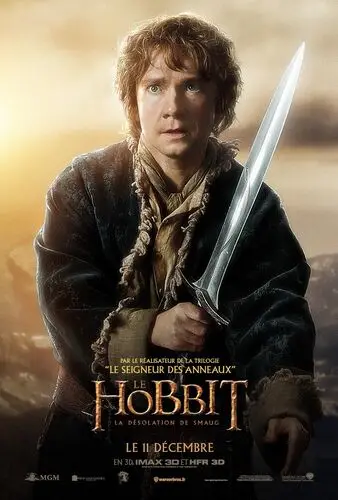The Hobbit The Desolation of Smaug (2013) Wall Poster picture 472669