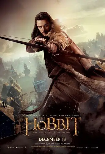 The Hobbit The Desolation of Smaug (2013) Wall Poster picture 472678