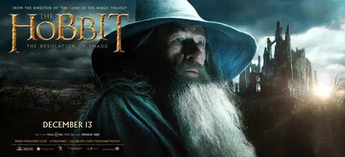 The Hobbit The Desolation of Smaug (2013) Wall Poster picture 472688