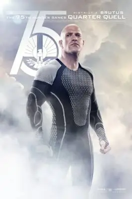 The Hunger Games: Catching Fire (2013) Wall Poster picture 384641