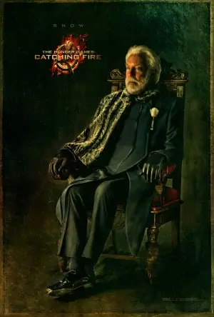 The Hunger Games: Catching Fire (2013) Wall Poster picture 390643