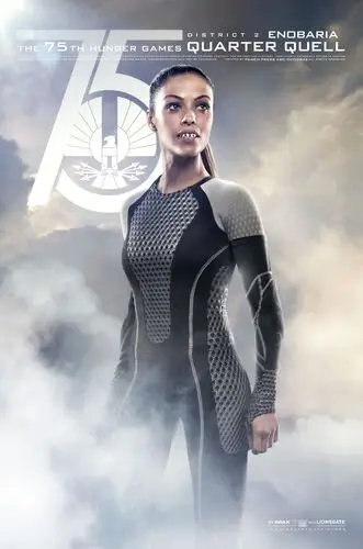 The Hunger Games Catching Fire (2013) Wall Poster picture 471661