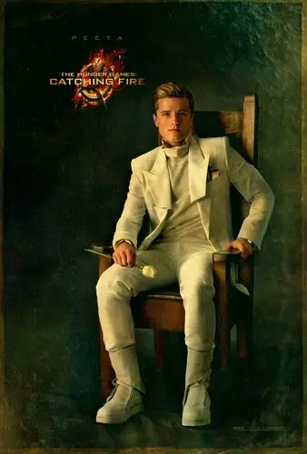 The Hunger Games Catching Fire (2013) Image Jpg picture 501733