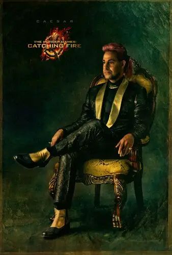 The Hunger Games Catching Fire (2013) Computer MousePad picture 501740
