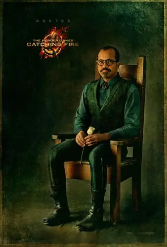 The Hunger Games Catching Fire (2013) Wall Poster picture 501744