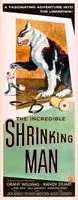 The Incredible Shrinking Man (1957) posters and prints