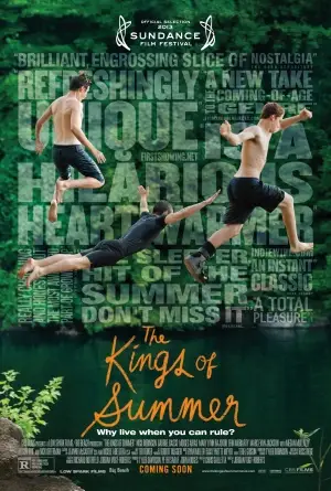 The Kings of Summer (2013) Protected Face mask - idPoster.com
