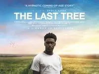 The Last Tree (2019) posters and prints