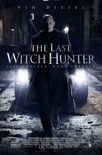 The Last Witch Hunter (2015) Men's Colored Hoodie - idPoster.com