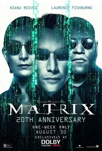 The Matrix (1999) Wall Poster picture 923755