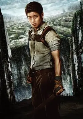 The Maze Runner (2014) Wall Poster picture 375719