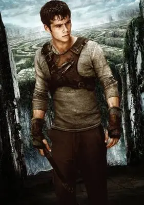 The Maze Runner (2014) Wall Poster picture 375721