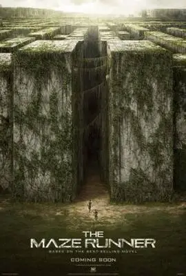The Maze Runner (2014) Wall Poster picture 377659
