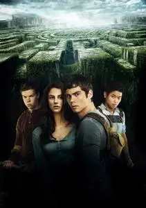 The Maze Runner (2014) posters and prints
