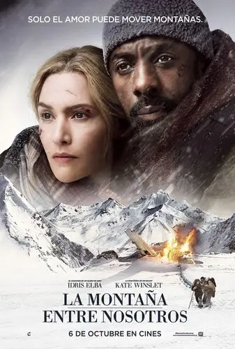 The Mountain Between Us (2017) Jigsaw Puzzle picture 742567