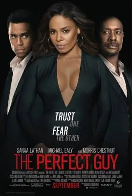The Perfect Guy (2015) Wall Poster picture 379714