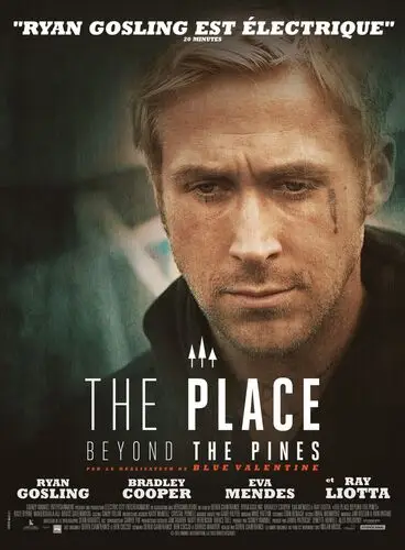 The Place Beyond the Pines (2013) Fridge Magnet picture 501797