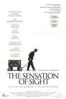 The Sensation of Sight (2006) posters and prints
