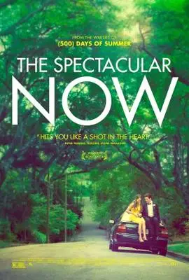 The Spectacular Now (2013) Fridge Magnet picture 384718