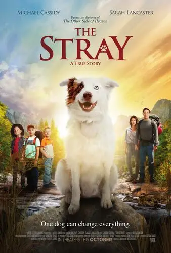 The Stray (2017) Protected Face mask - idPoster.com