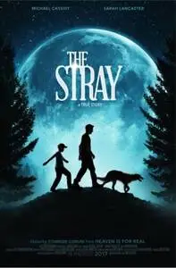 The Stray 2017 posters and prints