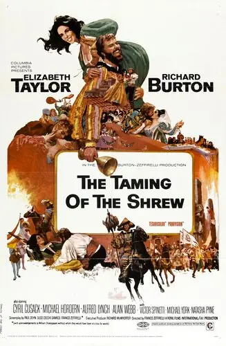 The Taming of the Shrew (1967) Jigsaw Puzzle picture 940420