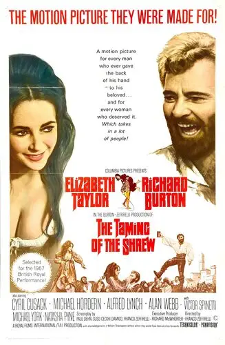The Taming of the Shrew (1967) Wall Poster picture 940421