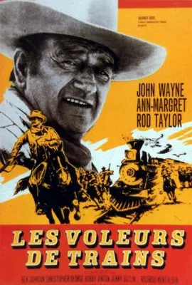 The Train Robbers (1973) Wall Poster picture 858581