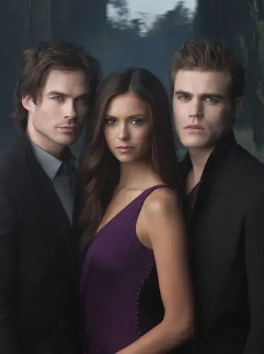 The Vampire Diaries Jigsaw Puzzle picture 222985