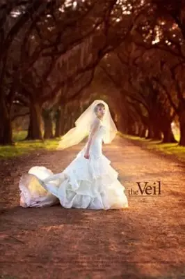The Veil (2014) Wall Poster picture 703306