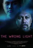 The Wrong Light 2016 posters and prints