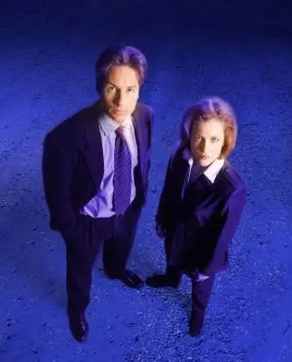 The X Files (1993) Wall Poster picture 337775