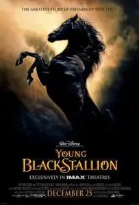 The Young Black Stallion (2003) posters and prints