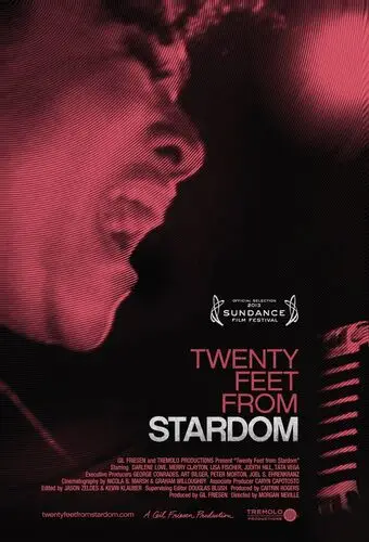 Twenty Feet from Stardom (2013) Men's Colored T-Shirt - idPoster.com