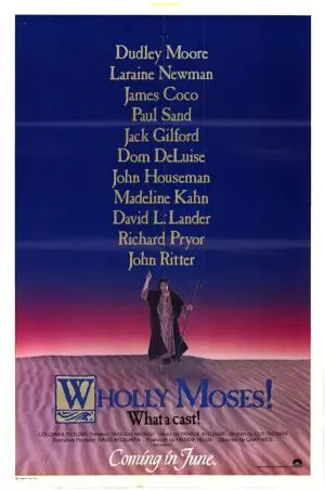 Wholly Moses (1980) Men's Colored Hoodie - idPoster.com